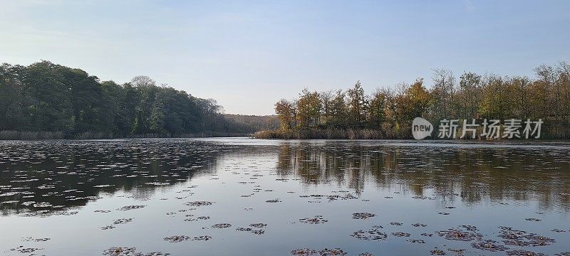 湖泊，水，自然，风景，森林，景观，İğneada, Kırklareli，土耳其